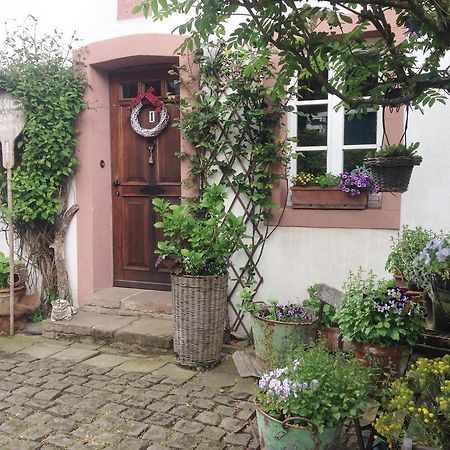 All Seasons Bed & Breakfast Kerpen  Dış mekan fotoğraf