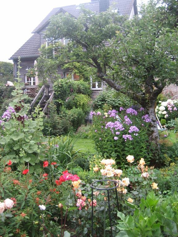 All Seasons Bed & Breakfast Kerpen  Dış mekan fotoğraf